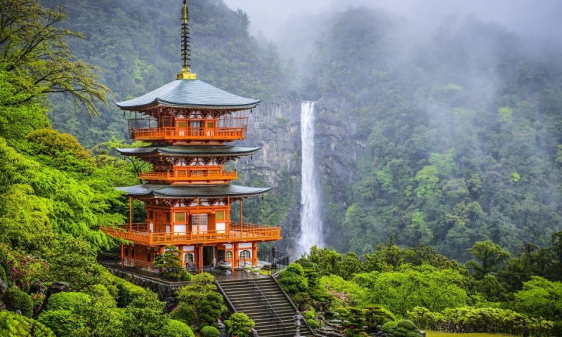 Какие документы нужны для поездки в Японию: правила въезда для иностранцев 2024
