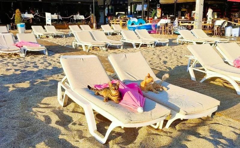 ТОП-10 лучших пляжей Турции